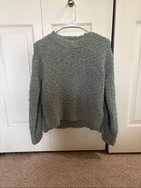 Pink Rose Plush Crewneck Sweater in Sage